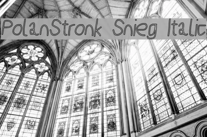 PolanStronk Snieg Italic Font examples