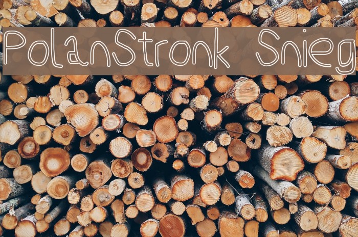PolanStronk Snieg Font examples