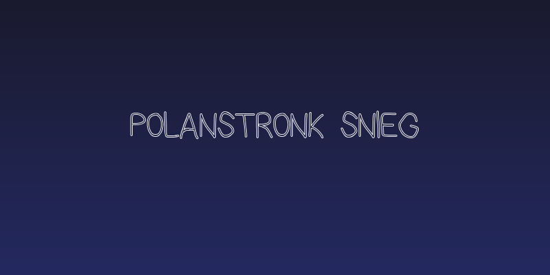PolanStronk Snieg Social Header
