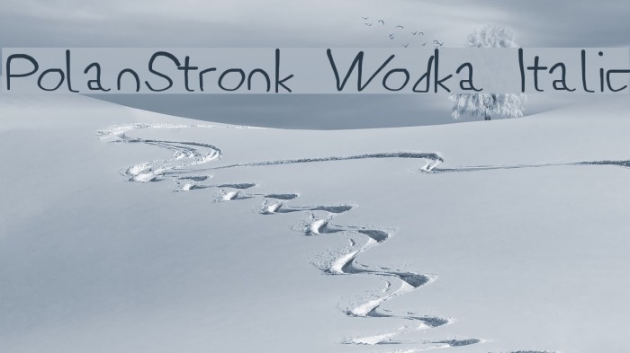 PolanStronk Wodka Italic Font examples
