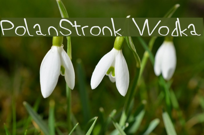 PolanStronk Wodka Font examples