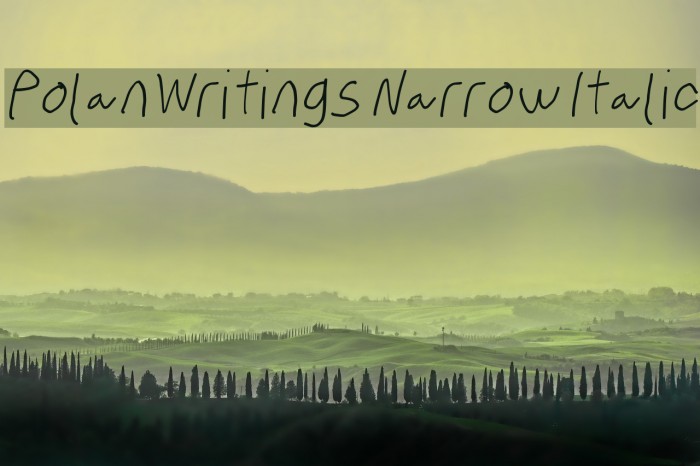 PolanWritings Narrow Italic Font examples