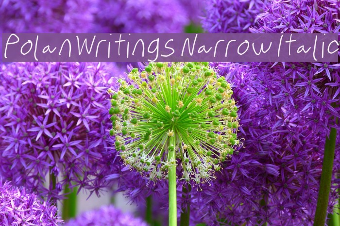 PolanWritings Narrow Italic Font examples