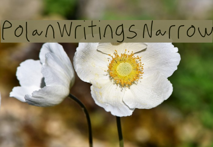 PolanWritings Narrow Font examples