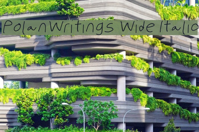 PolanWritings Wide Italic Font examples
