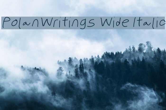 PolanWritings Wide Italic Font examples