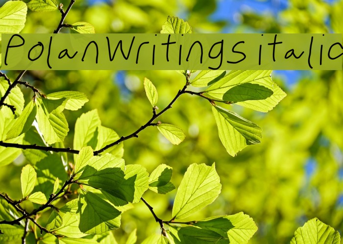 PolanWritings italic Font examples