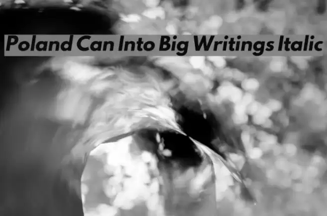 Poland Can Into Big Writings Italic  examples