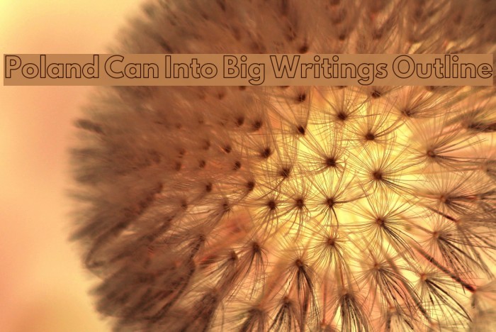 Poland Can Into Big Writings Outline Font examples
