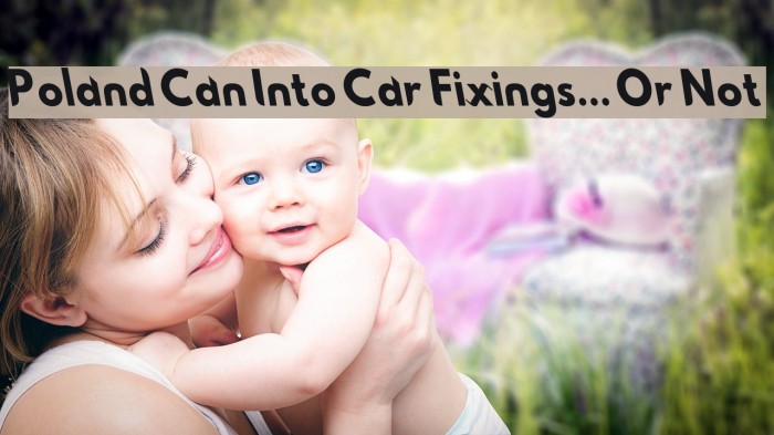 Poland Can Into Car Fixings... Or Not Font examples