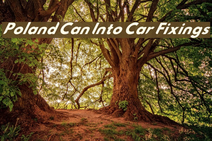 Poland Can Into Car Fixings Font examples