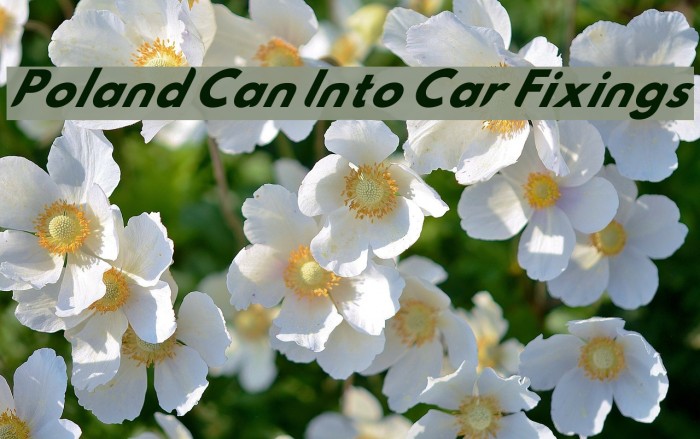 Poland Can Into Car Fixings Font examples