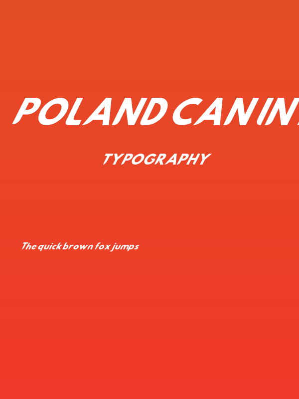 Poland Can Into Car Fixings Poster