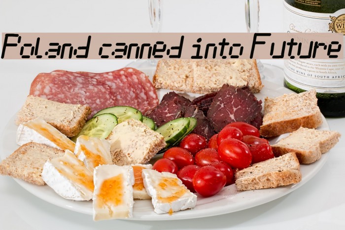 Poland canned into Future Font examples