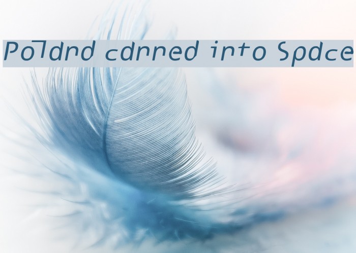 Poland canned into Space Font examples