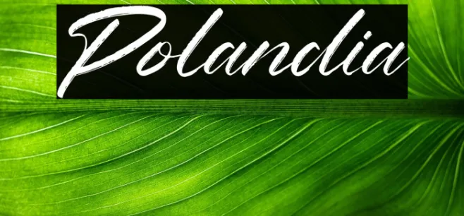Polandia Example 3
