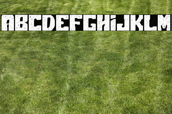 Polar Press Rough Example 2