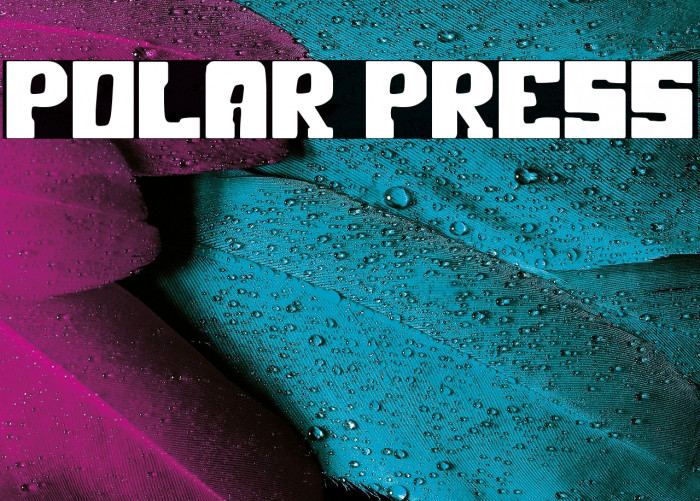 Polar Press Example 1