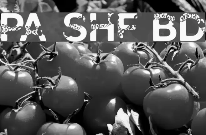 Polar Shift Bold Font examples