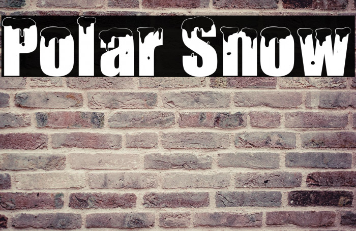 Polar Snow Example 2