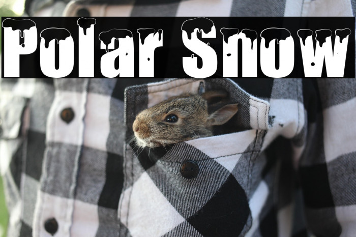 Polar Snow Example 3