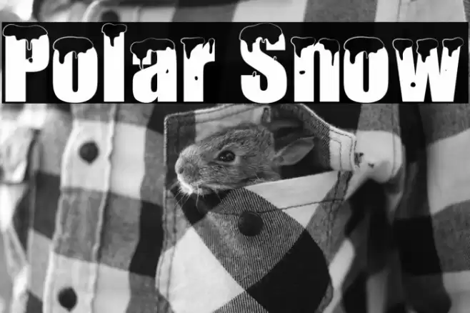 Polar Snow Font examples