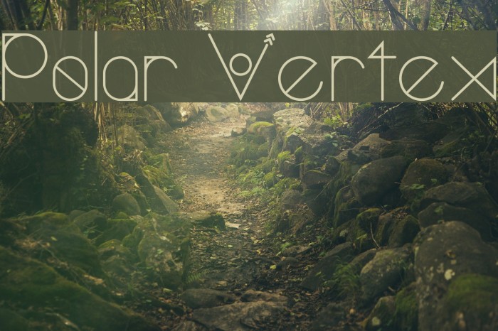 Polar Vertex Font examples