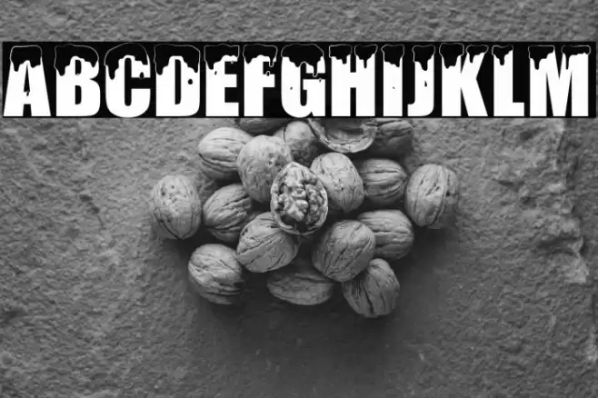 PolarSnow Font examples