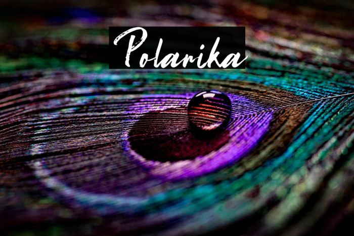 Polarika Example 2