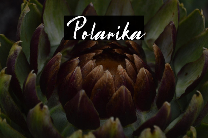 Polarika Example 3