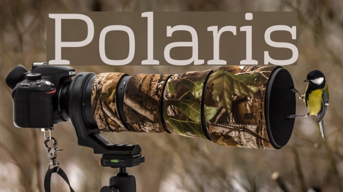 Polaris Font examples