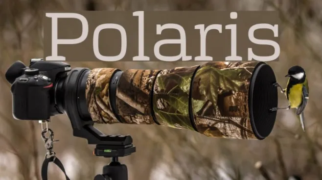 Polaris Example 3