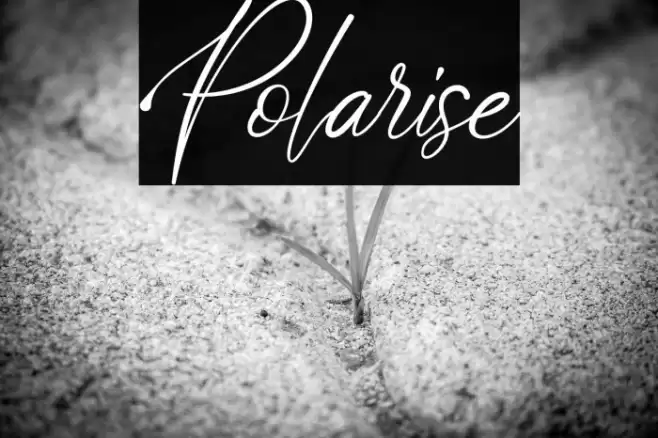 Polarise Font examples