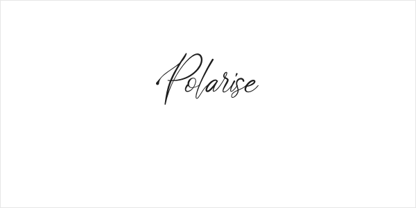 Polarise Logo