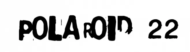 Polaroid 22  Free Fonts Download