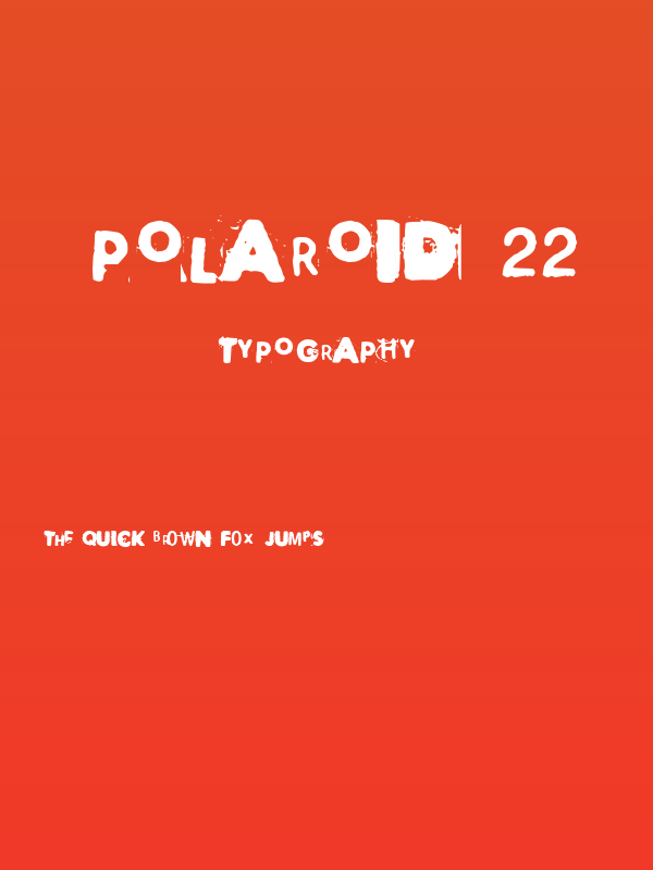 Polaroid 22 Poster
