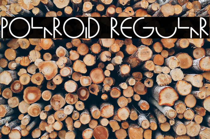 Polaroid Regular Font examples