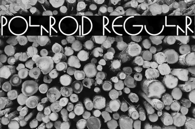 Polaroid Regular Font examples