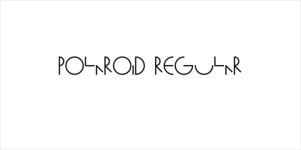Polaroid Regular Logo