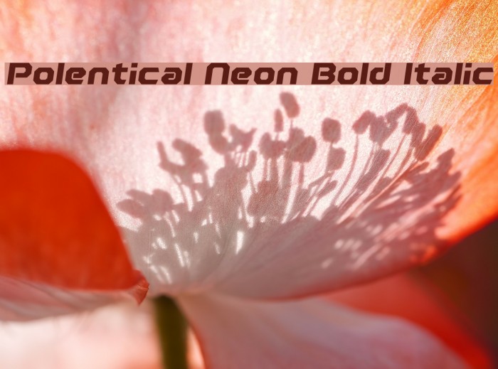 Polentical Neon Bold Italic Example 2