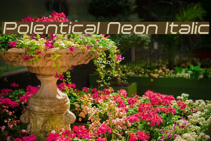 Polentical Neon Italic Font examples