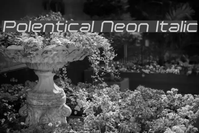 Polentical Neon Italic  examples