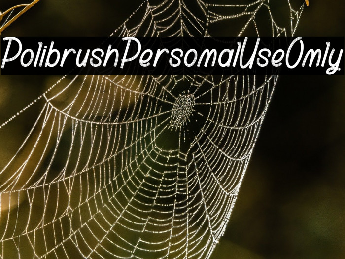 Polibrush_PersonalUseOnly Example 3