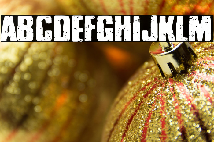 Policía Secreta Example 1