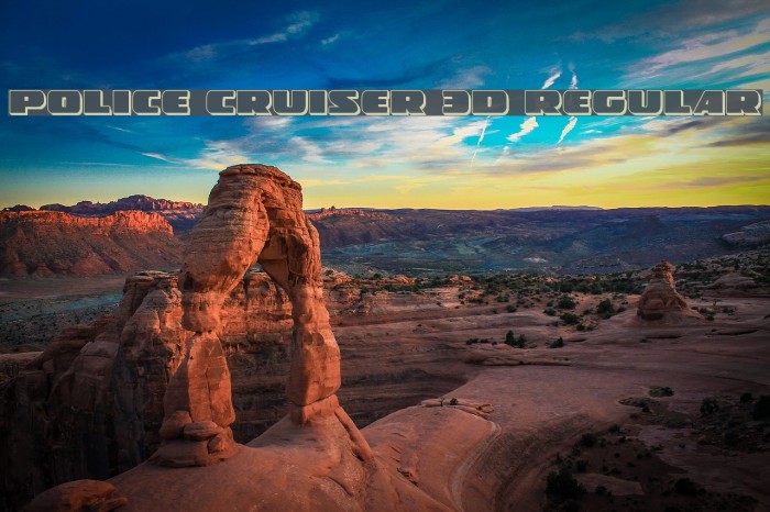 Police Cruiser 3D Regular Example 1