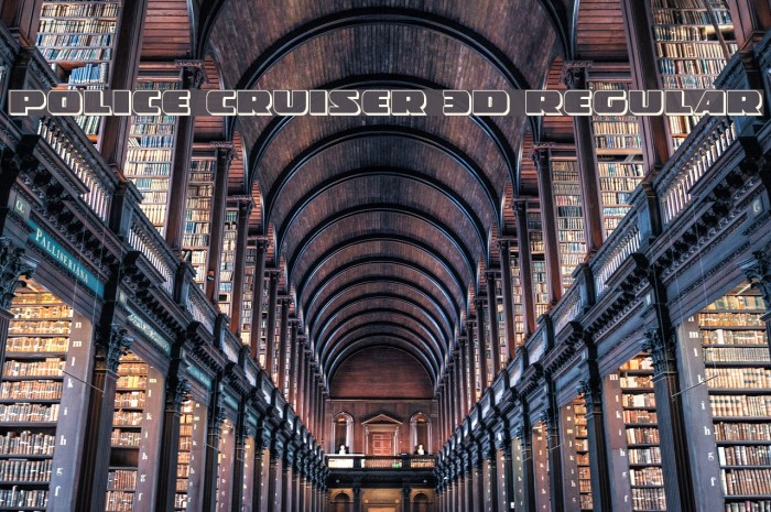 Police Cruiser 3D Regular Example 2