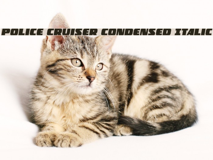 Police Cruiser Condensed Italic Font examples