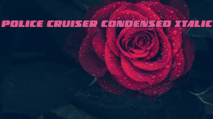 Police Cruiser Condensed Italic Font examples