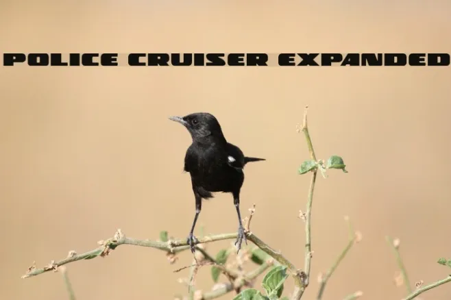 Police Cruiser Expanded Example 2