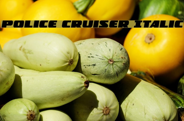 Police Cruiser Italic Example 1